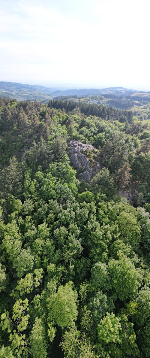 DJI_4840.JPG